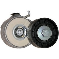 Dayco Automatic Belt Tensioner for Fiat Punto 7/2006 - 5/2010 1.2L 4 cyl 16V DOHC DTFI Turbo Diesel Dynamic 66kW 199A3000