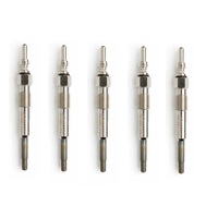 Denso glow plug set for Volkswagen LT 28-35 II 2DB 2DE 2DK 2.5 TDI AVR ANJ BBE BBF 5-cylinder 1999-2006 DG-005