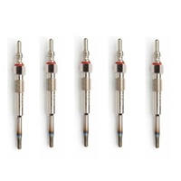 Denso glow plug set for Volkswagen 2E_ 2.5 TDI BJL CECA 5-cylinder 2006-2013 DG-177