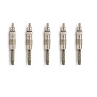 Denso glow plug set for Alfa Romeo 6 119_ 2.5 TD VM-HR 588 HT 5-cylinder 1981-1986 DG-202