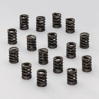 Edelbrock Valve Springs Sure Seat Single 1.438 in. Outside Diameter 1.260 in. Coil Bind Height Set of 16 EB5722