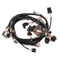 Holley EFI Wiring Harness EFI Main Harness Holley HP Dominator Chevrolet Pontiac Kit