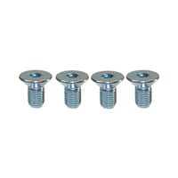 Proflow Water Pump Pulley Bolts Chrome 5/16 in.-24 x 5/8 in. PFE-R0005