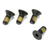 Proflow Water Pump Pulley Bolts Black 5/16 in.-24 x 5/8 in. PFE-R0005BK