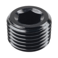 Raceworks Fitting NPT Plug 1/8'' RWF-932-02BK