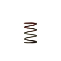 Turbosmart Gen4 / IWG WG38/40/45/50L 11PSI MIDDLE SPRING - BROWN/RED